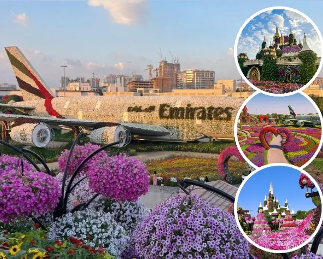 Dubai Miracle Garden floral attractions